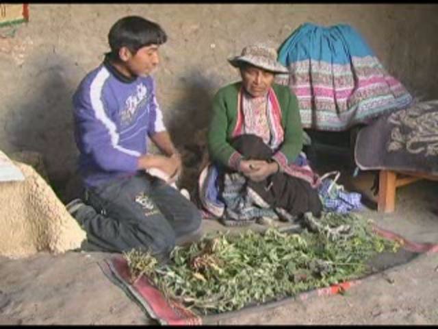 Con estas plantas nomas vivo yo