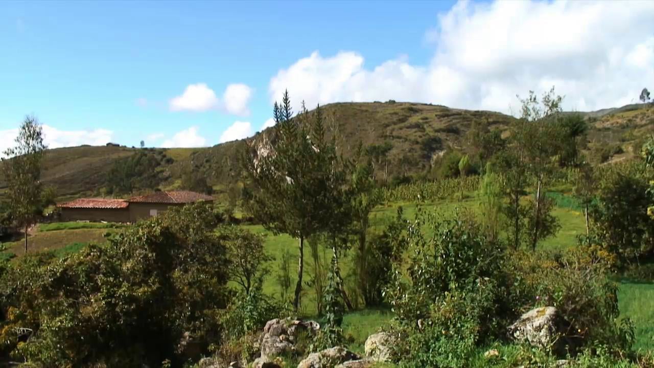Molinopampa